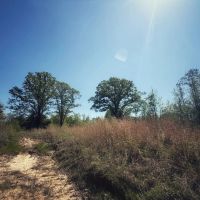 120 Acres Holmes County MS images 4