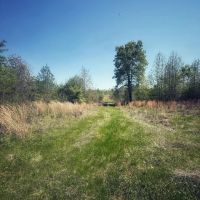 120 Acres Holmes County MS images 5