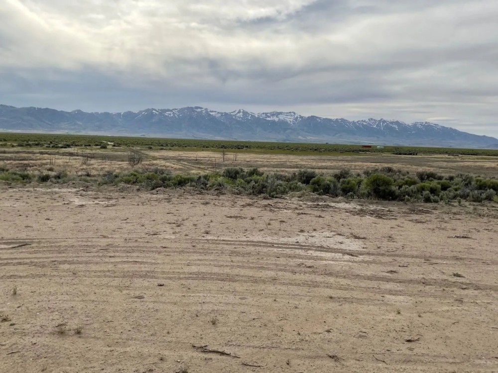 160 Acres South of Wells with Water Rights featured image