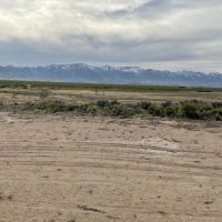 160 Acres South of Wells with Water Rights
