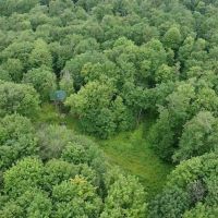 Cabin on 82 acres of Hunting Land in Rexville NY 1021 Lewis Rd