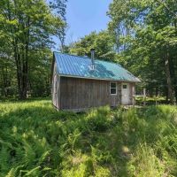 Cabin on 82 acres of Hunting Land in Rexville NY 1021 Lewis Rd images 2