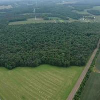 Cabin on 82 acres of Hunting Land in Rexville NY 1021 Lewis Rd images 4
