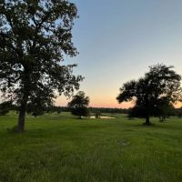 Frontier 333 images 4