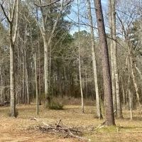 Mobile home and 8 acres North Pike School District images 4