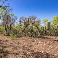 El Chalon Ranch images 3