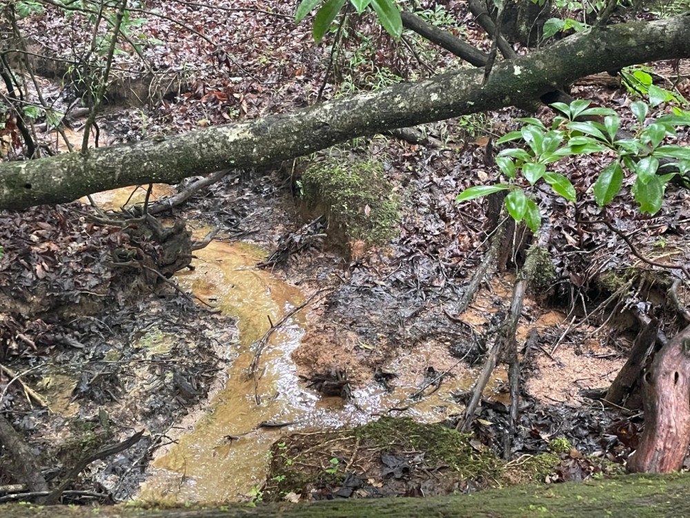 - 31.00 Acres - Tract 1 on N Little River Road in Tamassee SC featured image