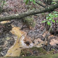 - 31.00 Acres - Tract 1 on N Little River Road in Tamassee SC