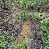 - 31.00 Acres - Tract 1 on N Little River Road in Tamassee SC images 3