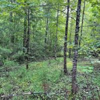 - 31.00 Acres - Tract 1 on N Little River Road in Tamassee SC images 5