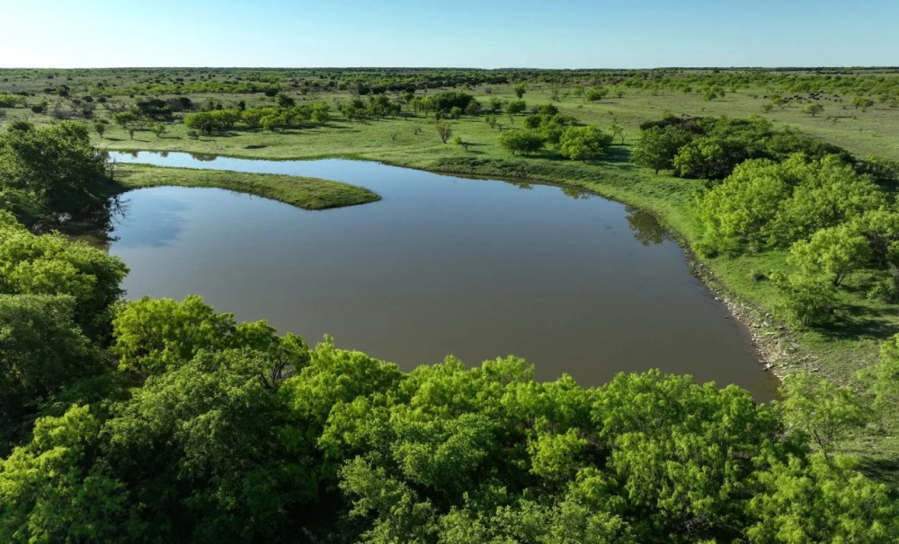 PK Hills Ranch featured image