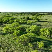 PK Hills Ranch images 4