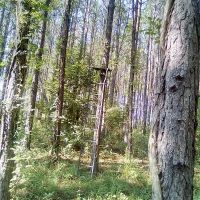 Img 20190730 102935