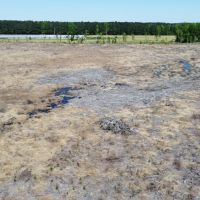 346-AC with Creek ATV Trails - Edgecombe County NC images 2