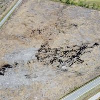 346-AC with Creek ATV Trails - Edgecombe County NC images 5