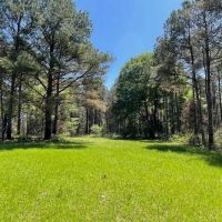 40 Acres For Sale Starkville MS images 2