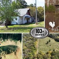 566 103 Acres clean woods with trails food plot area The start of a home with outbuildings
