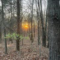 566 103 Acres clean woods with trails food plot area The start of a home with outbuildings images 3