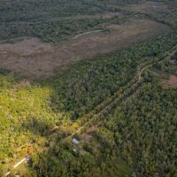 Hunting Land for Sale Just Outside of Baton Rouge images 2