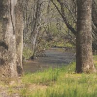 72 Acres with a Farmhouse in Polk County TN images 4