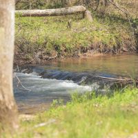 72 Acres with a Farmhouse in Polk County TN images 5