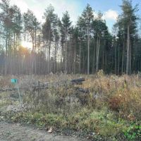 4.7 acre Building Lot and Recreational Land near Bush Hill State Forest in Franklinville NY 837 Palmer Rd