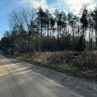 4.7 acre Building Lot and Recreational Land near Bush Hill State Forest in Franklinville NY 837 Palmer Rd images 4