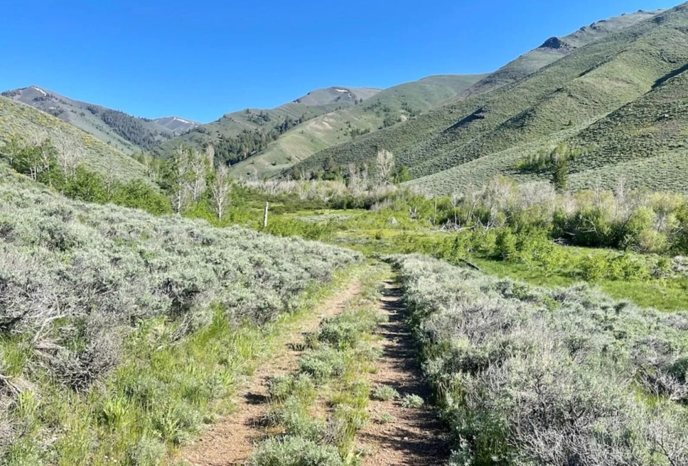 Iron Mine Ranch featured image