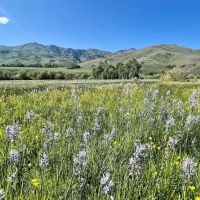 Iron Mine Ranch images 2