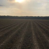LA - Franklin 80 acres - images 3