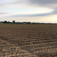 LA - Franklin 80 acres - images 4