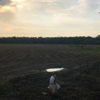 LA - Franklin 80 acres - images 5