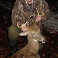 8 pointer 2015