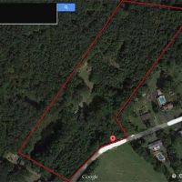 Aerial view hunting