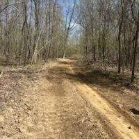 Land For Sale in Vermillion County IN 56 Acres - images 4