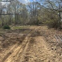 Land For Sale in Vermillion County IN 56 Acres - images 5