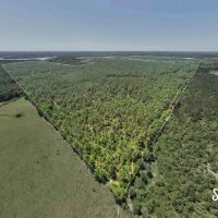 703 - Acres Purvis to Baxterville Road Lamar County MS Purvis MS Area images 2