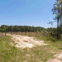 703 - Acres Purvis to Baxterville Road Lamar County MS Purvis MS Area images 3