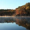 Ranch Offering Trophy Whitetail and Fallow Hunts for Private/Corporate Parties