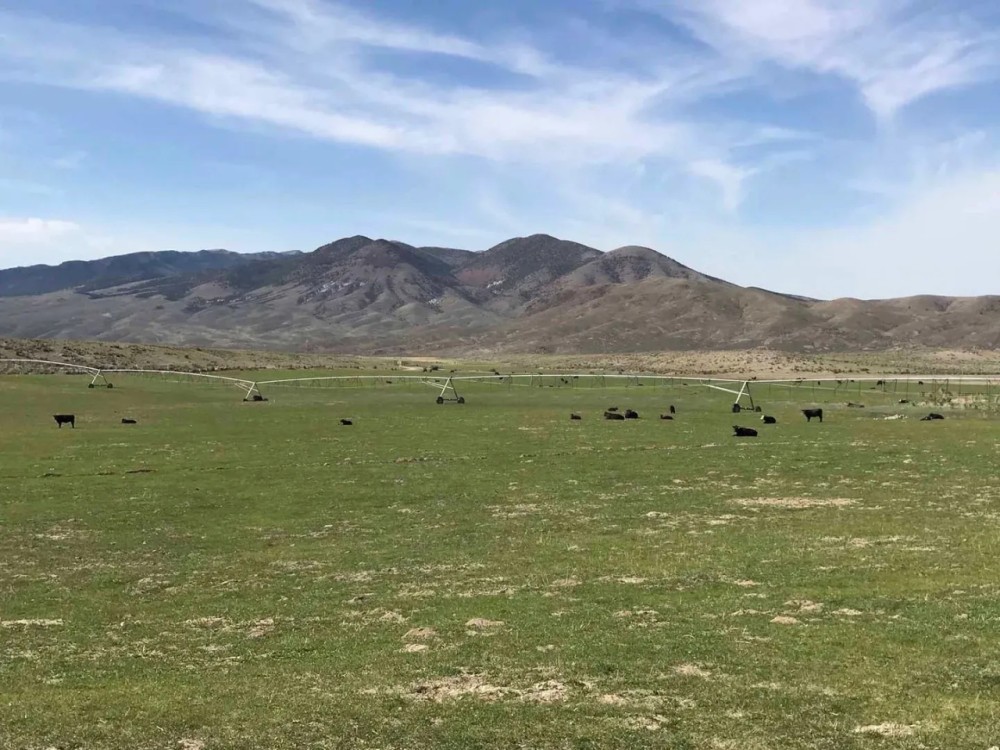 Hat Springs Ranch featured image