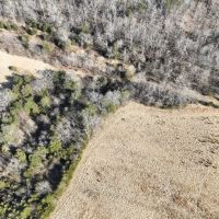 17.17 acres of Residential or Recreational Land in Bedford County VA images 3