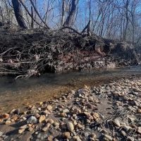 17.17 acres of Residential or Recreational Land in Bedford County VA images 4