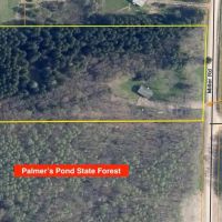 Cabin on 4 acres bordering State Land in West Almond NY 7523 Miller Rd images 5