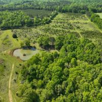 220 Acre Hunting Property and Homestead in Autauga County images 2