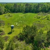 220 Acre Hunting Property and Homestead in Autauga County images 3