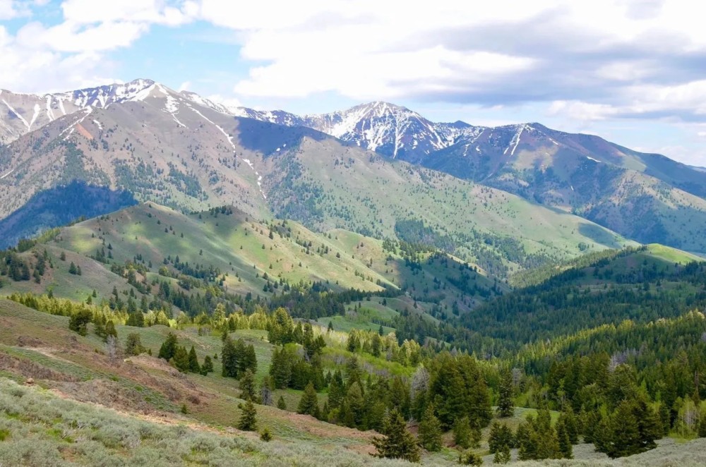 Lava Lake Ranch featured image