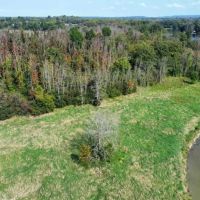 Private 53 acre Island located on the Seneca River in Weedsport NY Hickory Island images 4