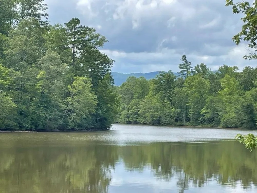- 51.65 Acres - Tract 5 on O Sheal Drive in Tamassee SC featured image
