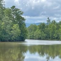 - 51.65 Acres - Tract 5 on O Sheal Drive in Tamassee SC