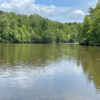 - 51.65 Acres - Tract 5 on O Sheal Drive in Tamassee SC images 4